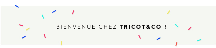 Tricotandco.fr - Première viste